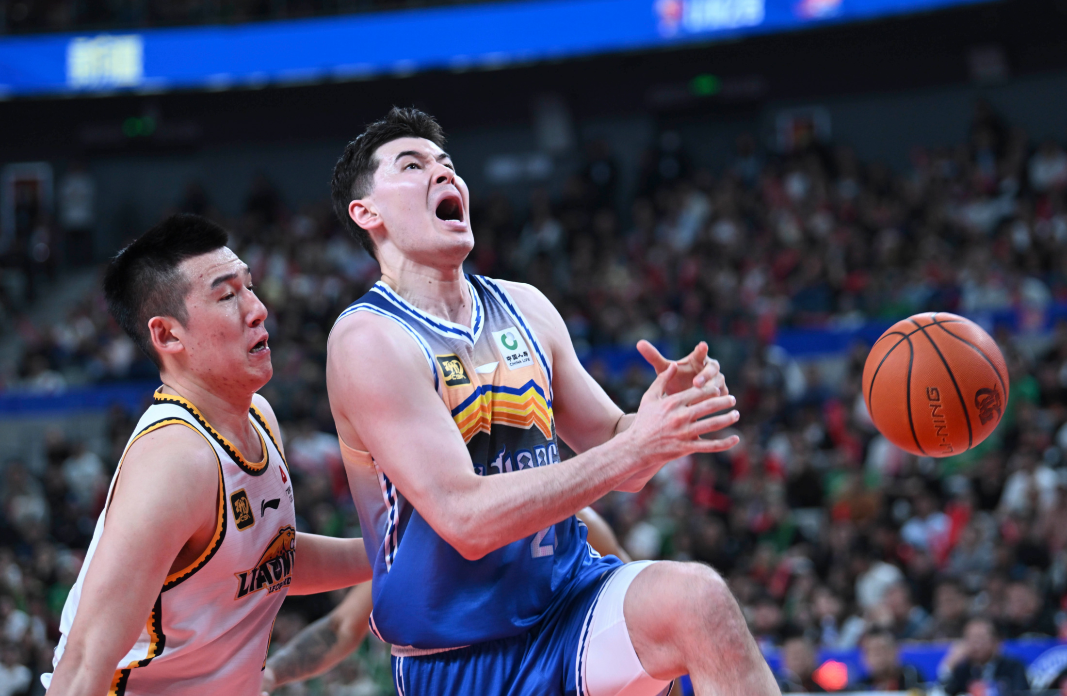 今晚突围战来临，山东男篮围绕法国杯官宣签约，态度坚定，年轻球员得到机会(兰陵王入阵曲)